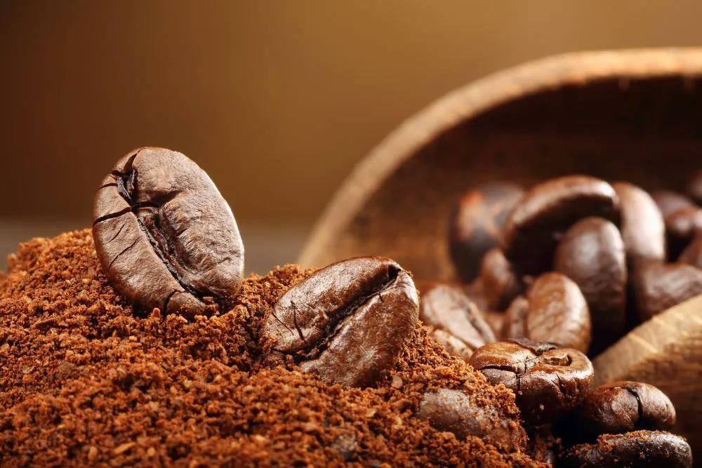 Coffee grounds and beans illustrating waste-to-profit opportunity